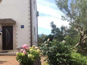 Apartments with a parking space Sucuraj, Hvar - 22239